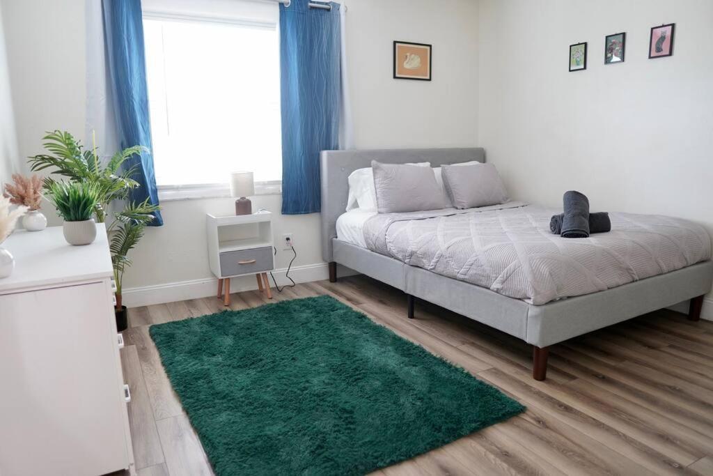Jay'S Cozy Arts Apartment Tampa Ngoại thất bức ảnh